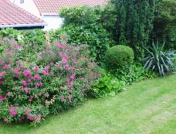 36 TUIN 1