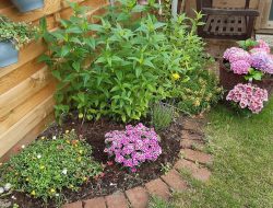 37TUIN 2