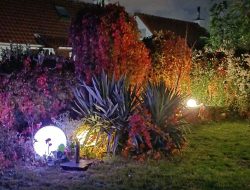 42 - TUIN LAAT