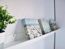 Zeeparken_accommodatietype_appartement_galerijZeewind II_app8_2